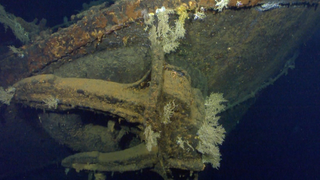 Billionaire Paul Allen Finds Sunken Battleship With Private Submarine